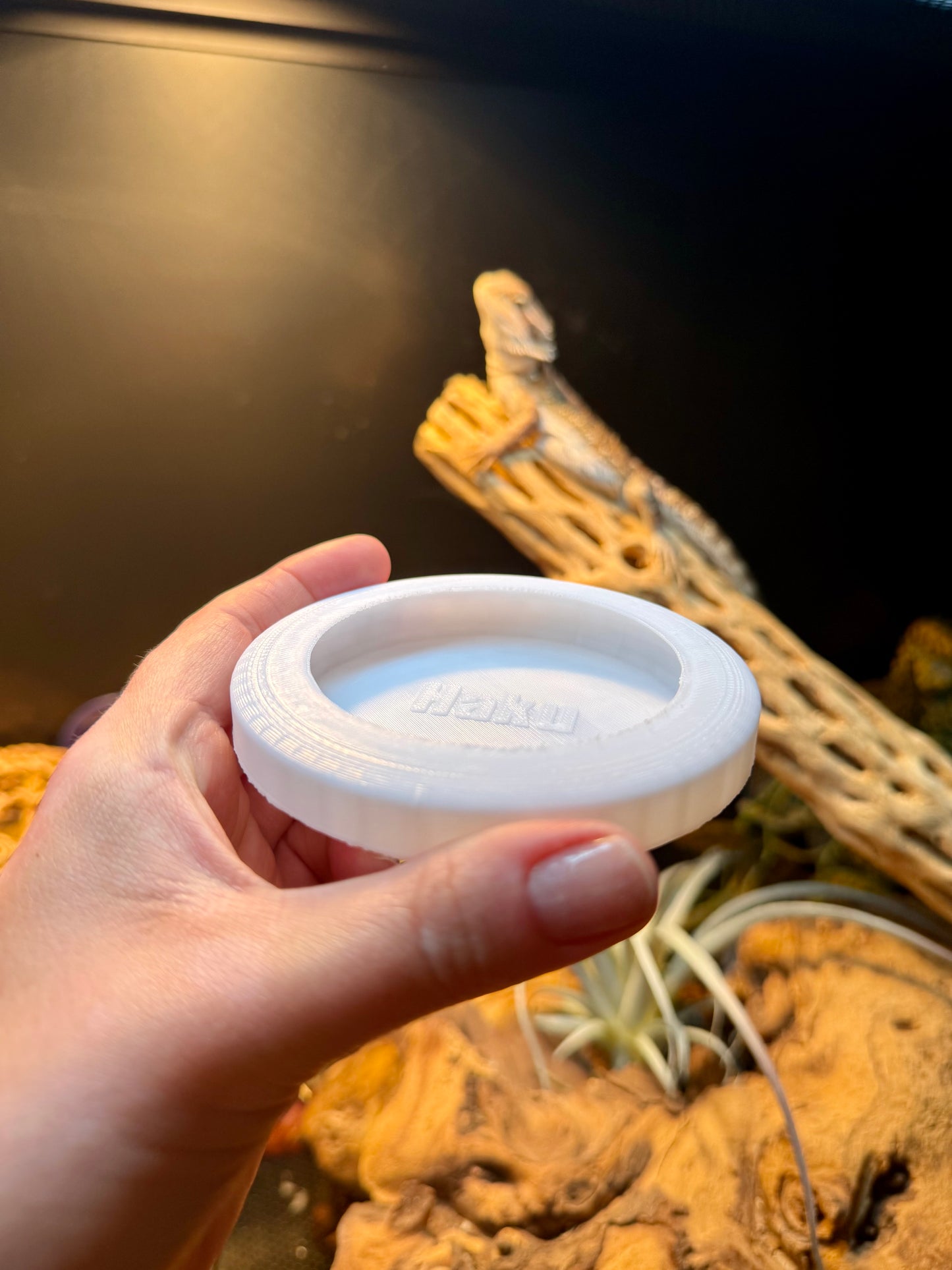 Personalized Reptile Dish — Bug Safe Design (Medium)