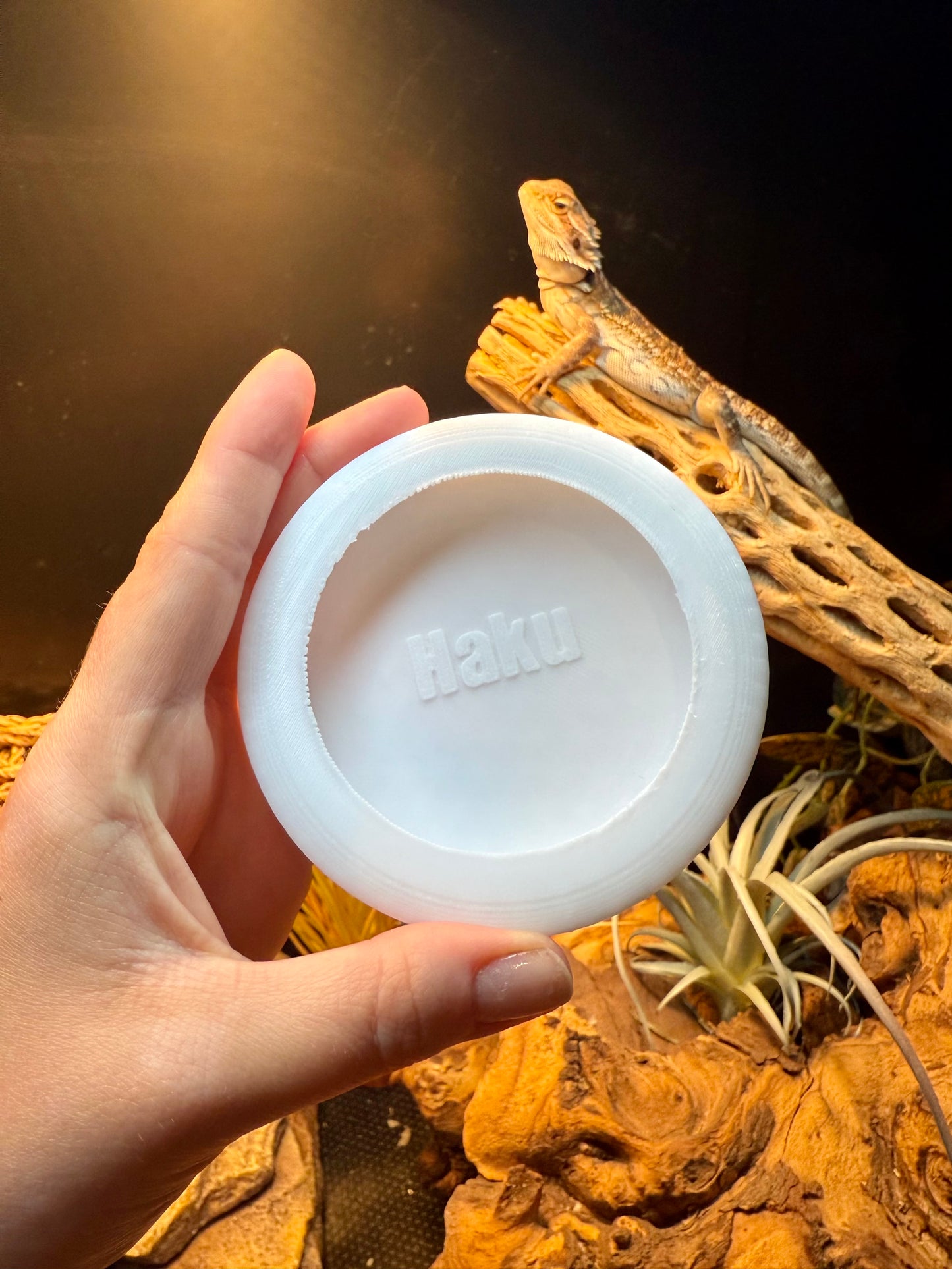 Personalized Reptile Dish — Bug Safe Design (Medium)